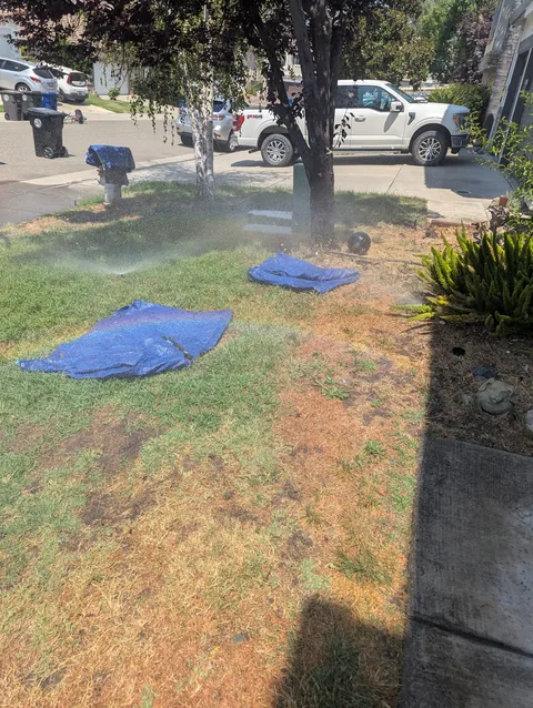 Irrigation sprinkler heads replaced